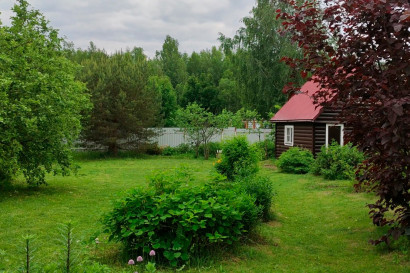 Время потрогать траву — фото-1_8