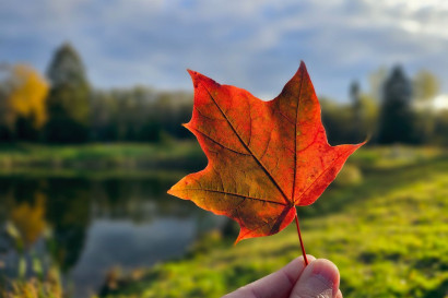 20 лет компании МастерВеб! — фото-1_18