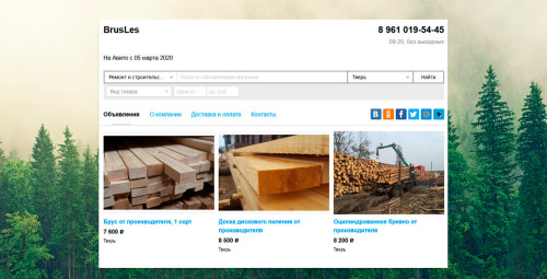 Реклама в интернете<br> наиболее результативный источник клиентов — Реклама на Авито — фото