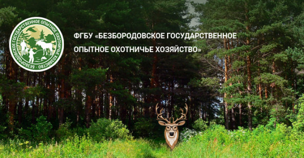 Сайт для охотничьего хозяйства